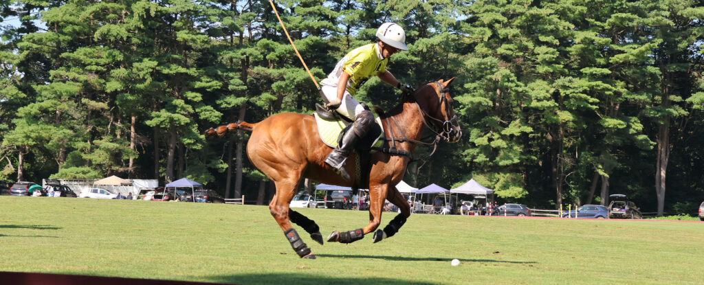 Off Course photo of Myopia polo player